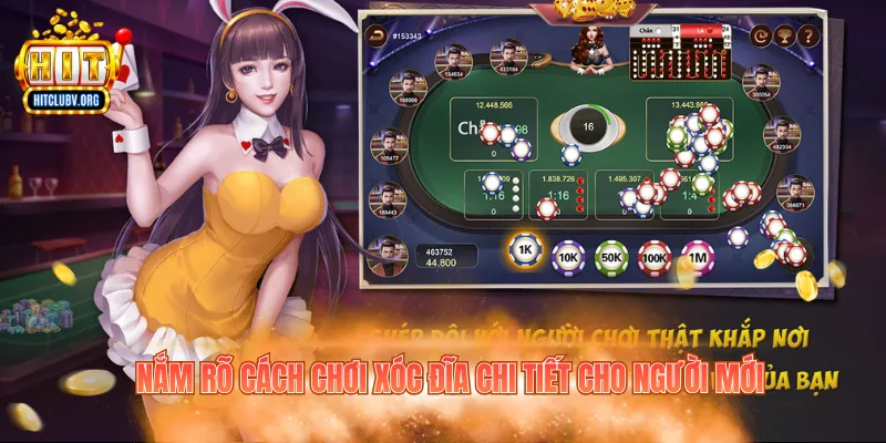 Nắm rõ cách chơi xóc đĩa chi tiết cho người mới