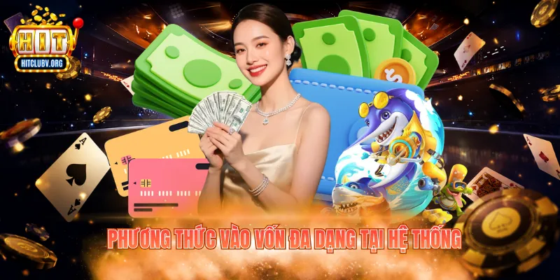 Phương thức vào vốn đa dạng tại hệ thống 